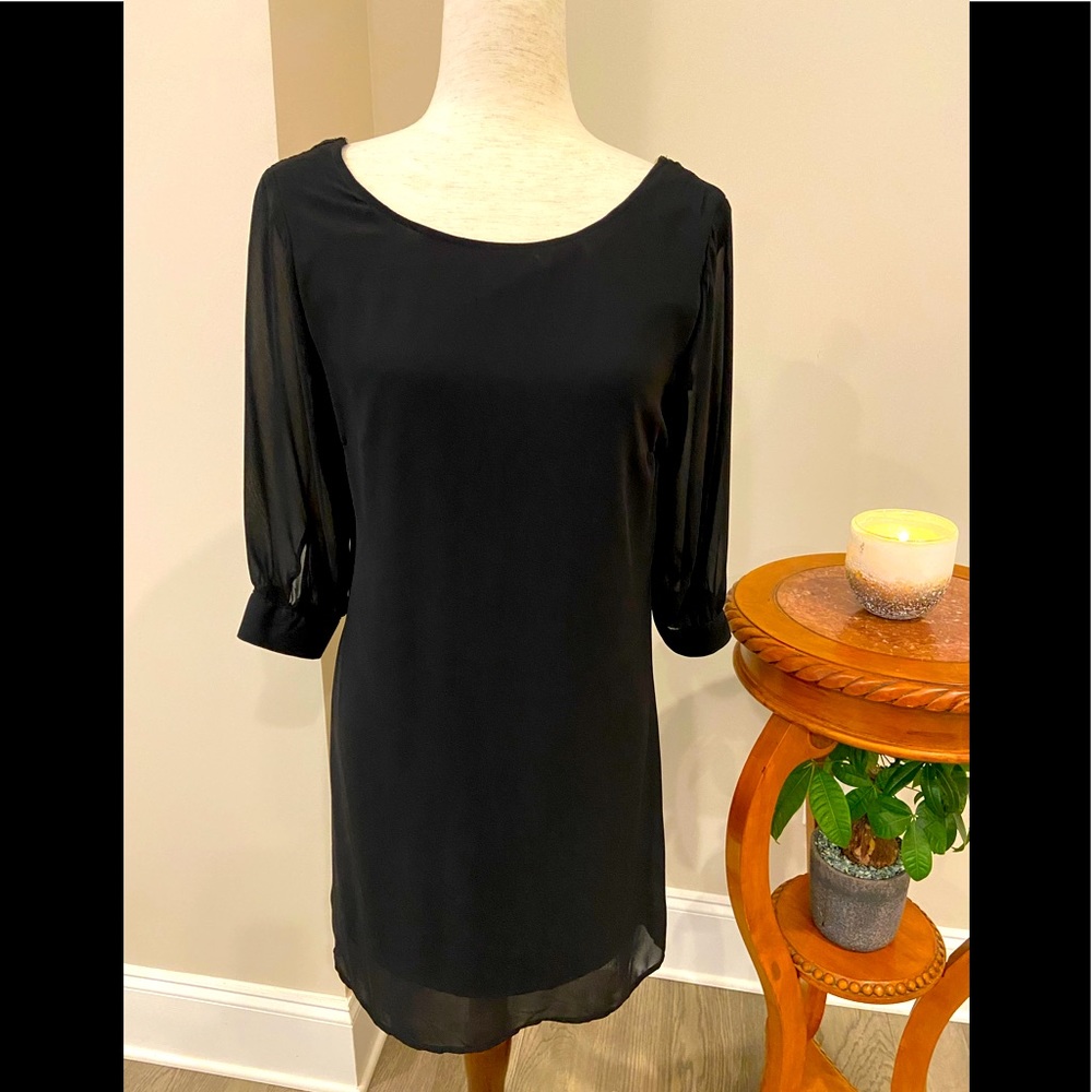 Charlotte Russ black Dress New With Tags
